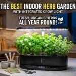 best indoor herb garden with grow light