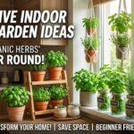 indoor herb garden ideas